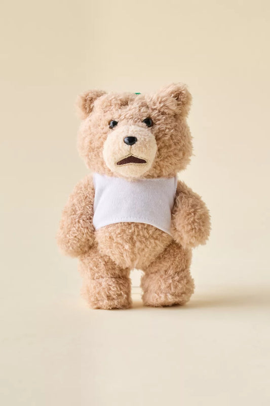 POP MART Ted2 Teddy Bear Action Blind Box Plushie Keychain