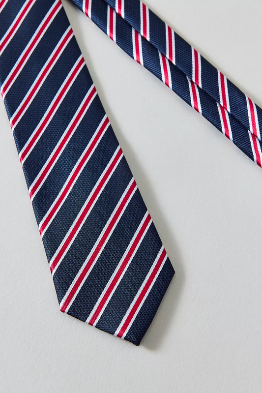 Stripe Pattern Neck Tie