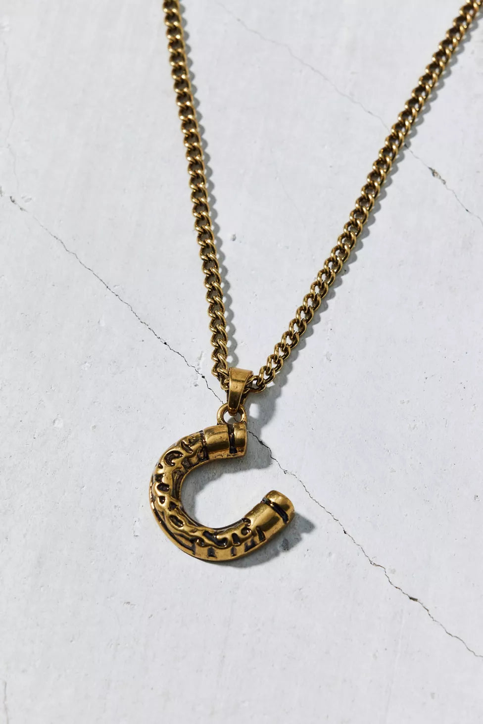 Horseshoe Pendant Stainless Steel Necklace