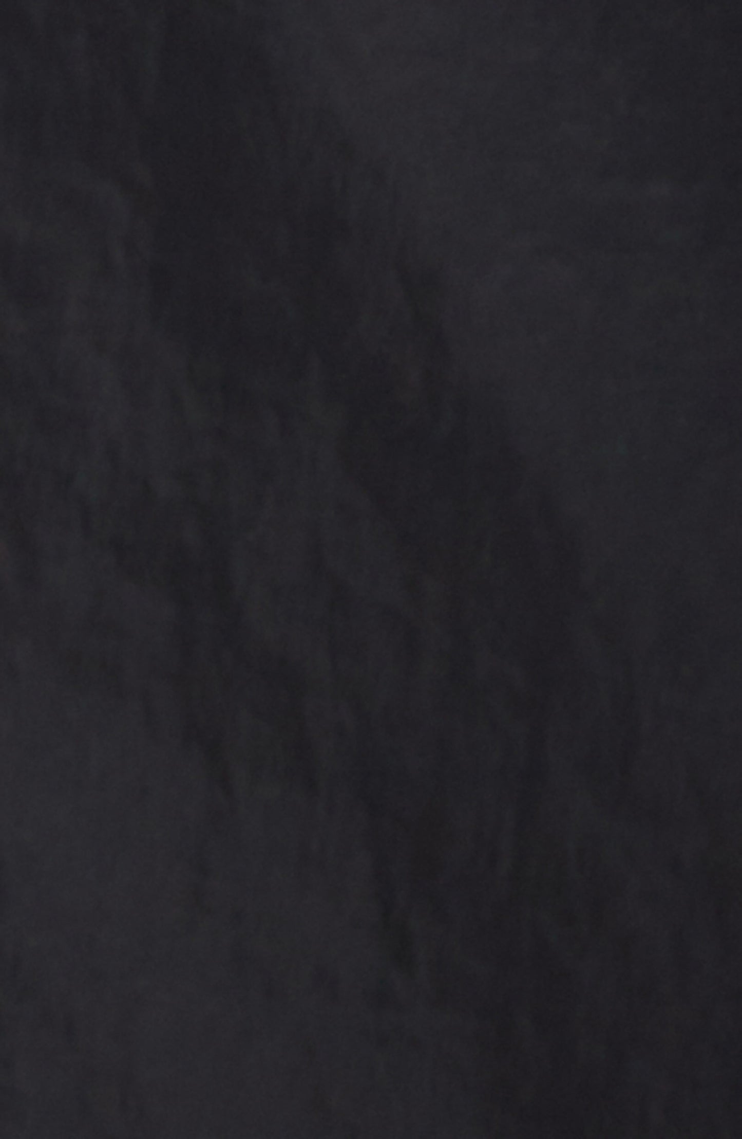 Wide Leg Nylon Pants